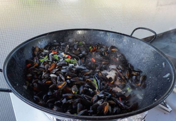 Les Moules du camping dans les Landes