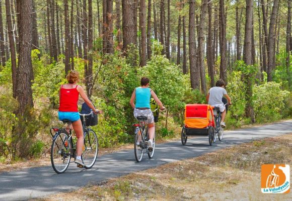Numerosos caminos para bicicletas en las Landas